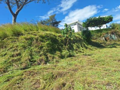 Marbella Cuajiniquil Santa Cruz, Guanacaste 50306, Costa Rica