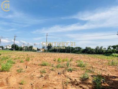 大潭段塘背小段, 觀音區, Taoyuan City 328, Taiwan