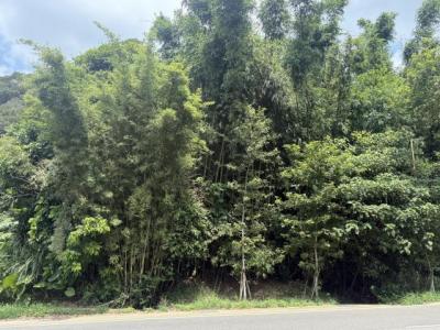 北宜路四段, Shiding Dist., 新北市 223, 台湾