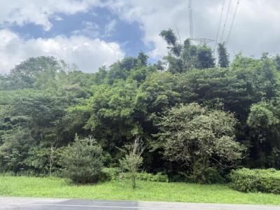 北宜路四段, Shiding Dist., New Taipei City 223, Taiwan