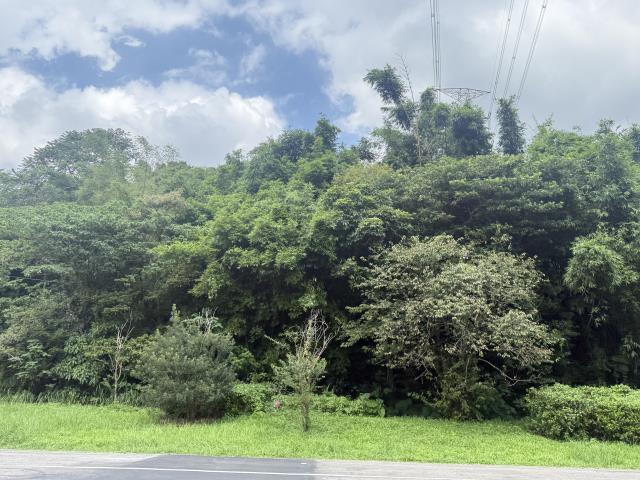 北宜路四段, Shiding Dist., New Taipei City 223, Taiwan