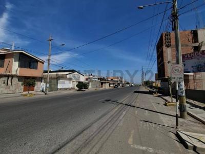 FUNDO EL OLIVAR , Tacna, Tacna 00001, Peru