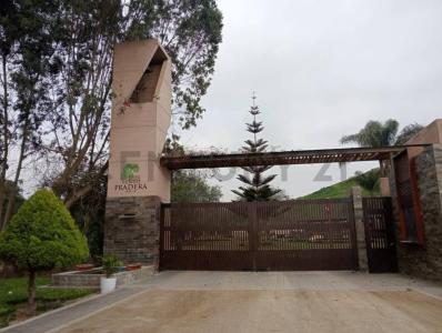 Condominio Fundo Pradera II , Cañete, Lima 00001, Peru