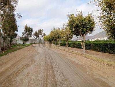Condominio Fundo Pradera II , Cañete, Lima 00001, Peru