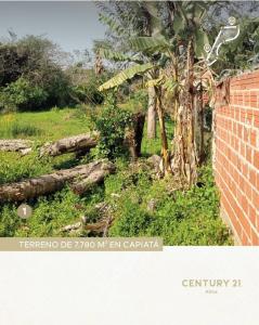 Puerta del Sol , Capiatá, Central 00001, Paraguay