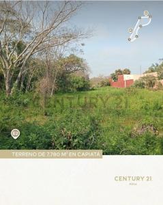 Puerta del Sol , Capiatá, Central 00001, Paraguay