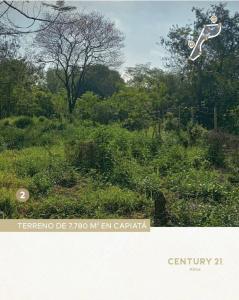 Puerta del Sol , Capiatá, Central 00001, Paraguay