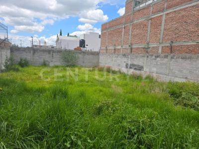 Cda. Alfoso Godínez Maldonado (Municipio de Texcoco) S/N,, Papalotla, Estado De Mexico 56050, Mexico