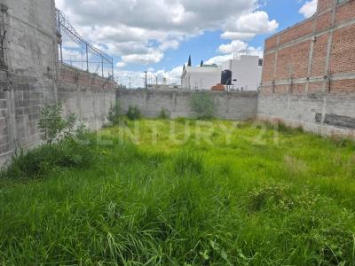 Cda. Alfoso Godínez Maldonado (Municipio de Texcoco) S/N,, Papalotla, Estado De Mexico 56050, Mexico