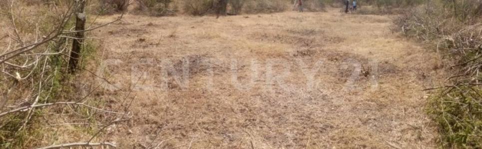 cuachizolotera s/n,, Atlatlahucan, Morelos 62840, Mexique