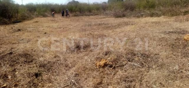 cuachizolotera s/n,, Atlatlahucan, Morelos 62840, Mexique