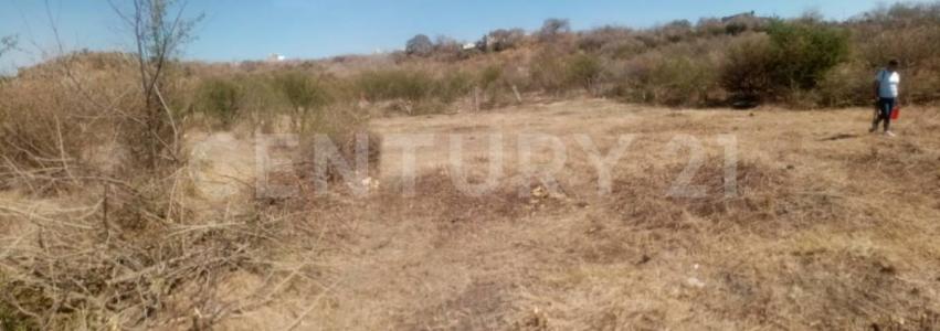 cuachizolotera s/n,, Atlatlahucan, Morelos 62840, Mexique