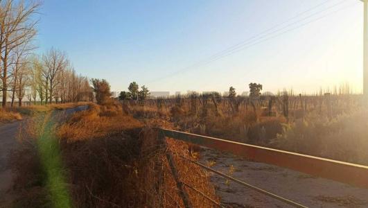 General San Martín, Mendoza 55711, Argentina