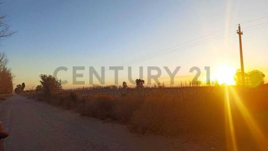 General San Martín, Mendoza 55711, Argentina