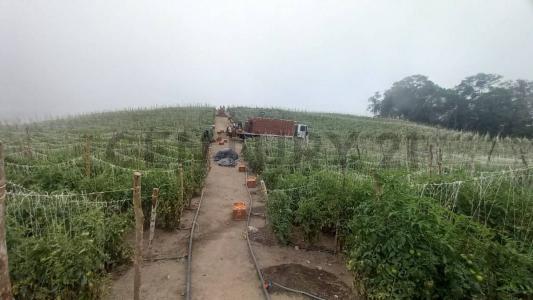 1 FINCA LA ESPERANZA, Bailadores, Mérida 5144, ונצואלה 