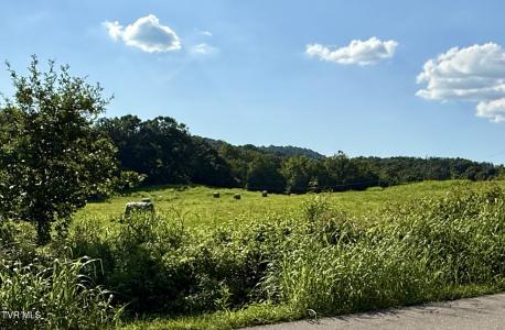 Tbd Horseshoe Bend Road, Jonesborough, Tennessee 37659, États-Unis