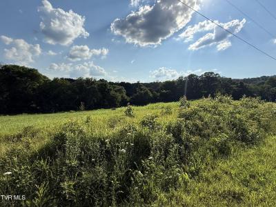 Tbd Horseshoe Bend Road, Jonesborough, Tennessee 37659, États-Unis