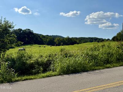 Tbd Horseshoe Bend Road, Jonesborough, Tennessee 37659, États-Unis