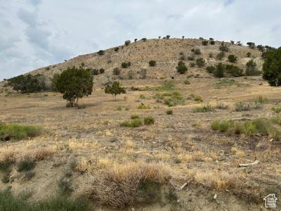 19415 N 7150 E 2, Mt Pleasant, Utah 84647, USA