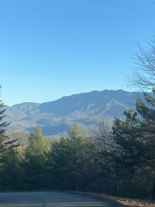 D-7 Lightning Bug Way, Gatlinburg, Tennessee 37738, États-Unis