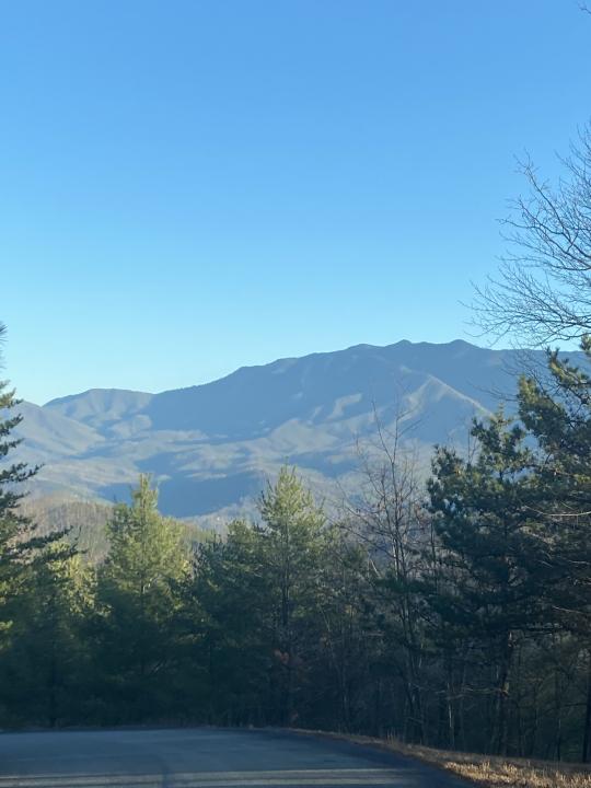 D-7 Lightning Bug Way, Gatlinburg, 田納西州 37738, 美國