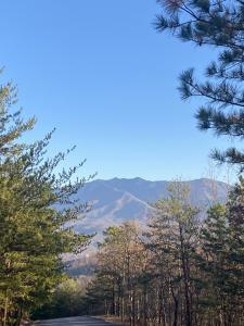 D-7 Lightning Bug Way, Gatlinburg, 田納西州 37738, 美國