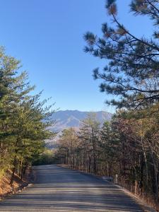 D-7 Lightning Bug Way, Gatlinburg, 田納西州 37738, 美國
