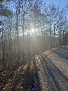 D-7 Lightning Bug Way, Gatlinburg, 田納西州 37738, 美國