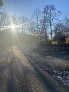 D-7 Lightning Bug Way, Gatlinburg, 田納西州 37738, 美國