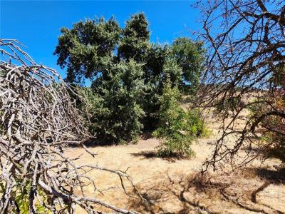 3960 Emile Avenue, Clearlake, California 95422