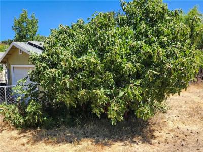 3960 Emile Avenue, Clearlake, California 95422