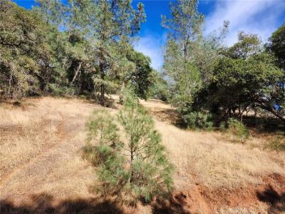 9500 Glenhaven Drive, Glenhaven, California 95443, Estados Unidos