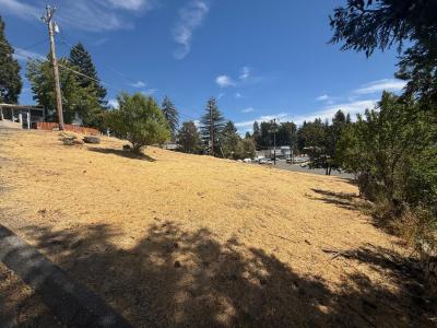 Kneeland St, Colfax, 加州 95713, 美國