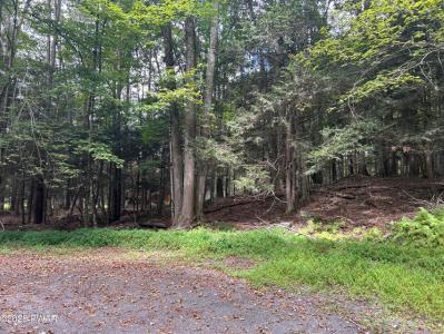 Lot# 144   Gemini Circle, Lake Ariel, Pensylwania 18436, USA