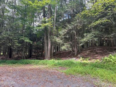 Lot# 144   Gemini Circle, Lake Ariel, Pensylwania 18436, USA