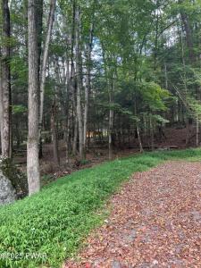 Lot# 144   Gemini Circle, Lake Ariel, Pensylwania 18436, USA