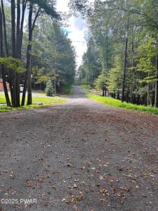 Lot# 144   Gemini Circle, Lake Ariel, Pensylwania 18436, USA