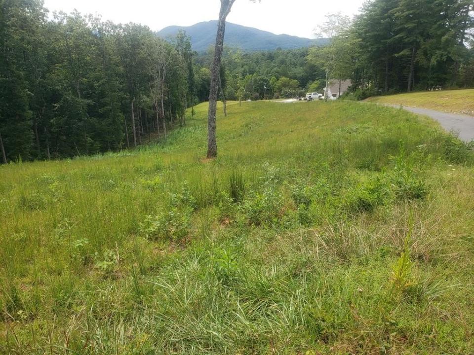 Nottaway Road, Young Harris, Georgia 30582, HOA KỲ