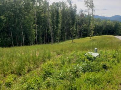 Nottaway Road, Young Harris, Georgia 30582, HOA KỲ