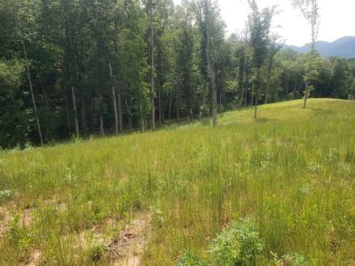 Nottaway Road, Young Harris, Georgia 30582, HOA KỲ