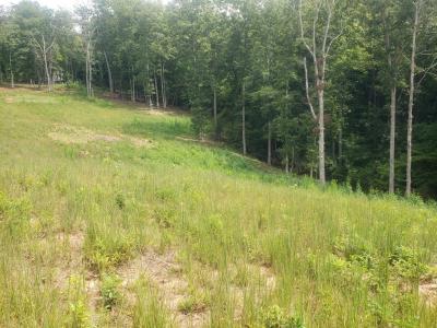 Nottaway Road, Young Harris, Georgia 30582, HOA KỲ