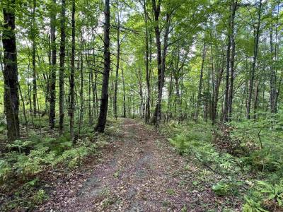 0 Danville Hill Road, Cabot, Vermont 05647, États-Unis