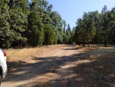 13762 Lightning Tree Road, Nevada City, California 95959, Estados Unidos