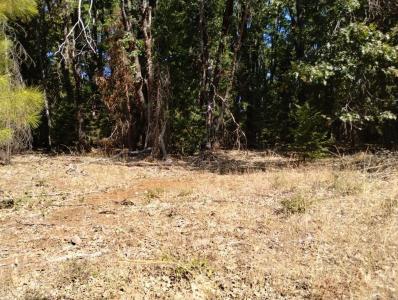 13762 Lightning Tree Road, Nevada City, California 95959, Estados Unidos