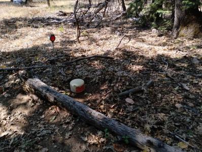 13762 Lightning Tree Road, Nevada City, California 95959, Estados Unidos