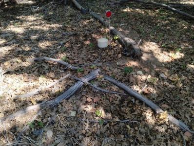 13762 Lightning Tree Road, Nevada City, California 95959, Estados Unidos