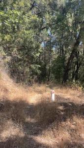 15037 Leiter Way, Grass Valley, California 95949