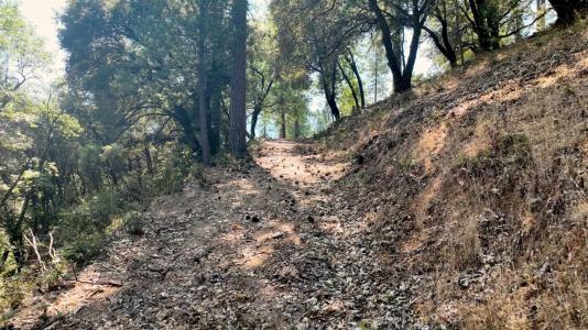 15037 Leiter Way, Grass Valley, California 95949