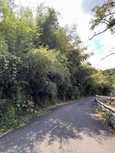 高倉4丁目, 入間市, 埼玉 358-0021, 日本