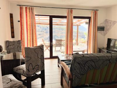 圣克鲁斯-德特内里费, Canarias 38430, 西班牙